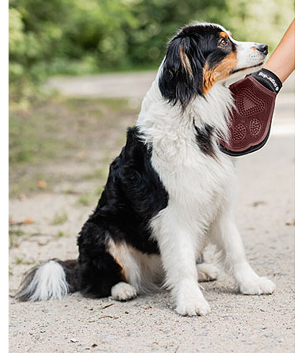 Guanto da massaggio e grooming per cani