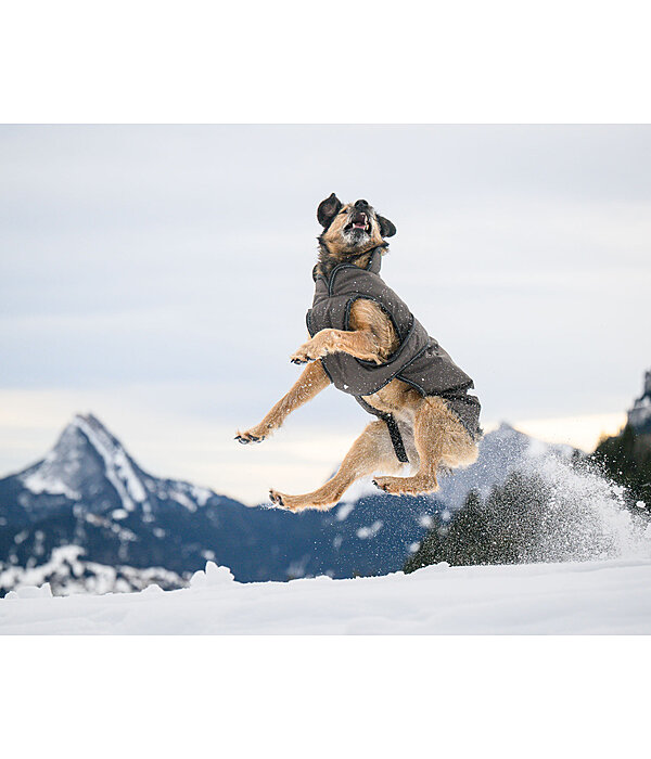 Cappotto invernale per cani Eddie con pile, 200 g