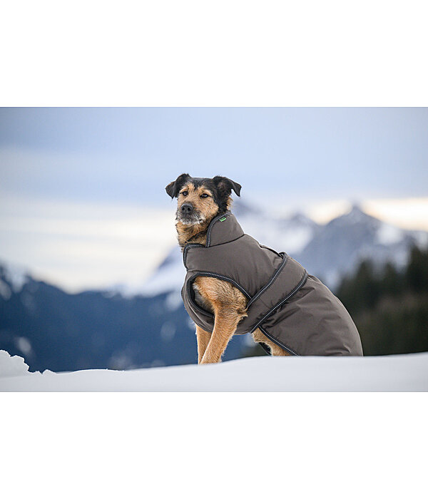 Cappotto invernale per cani Eddie con pile, 200 g