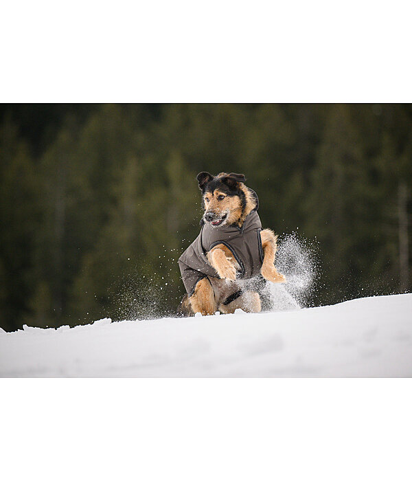 Cappotto invernale per cani Eddie con pile, 200 g