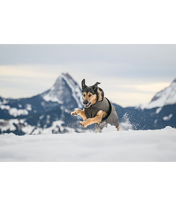 Cappotto invernale per cani Eddie con pile, 200 g
