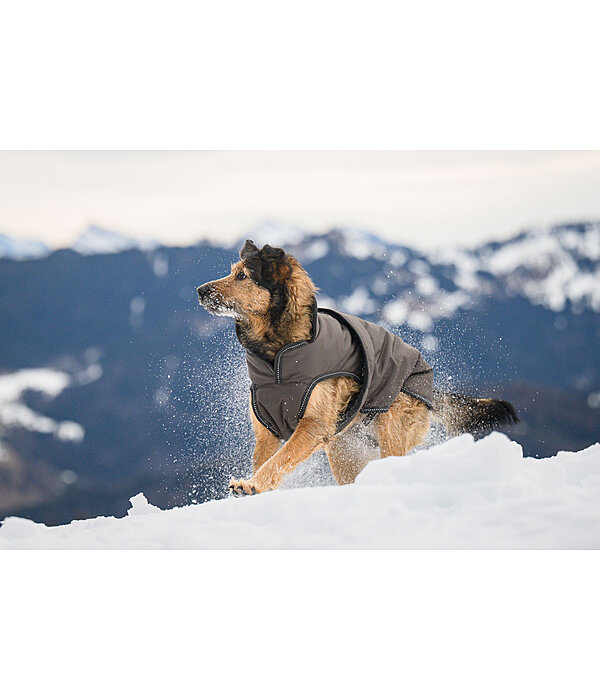 Cappotto invernale per cani Eddie con pile, 200 g
