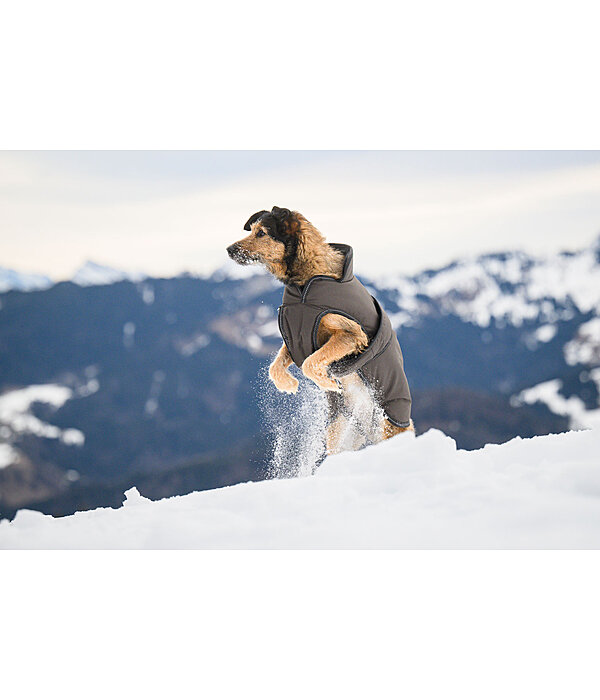 Cappotto invernale per cani Eddie con pile, 200 g