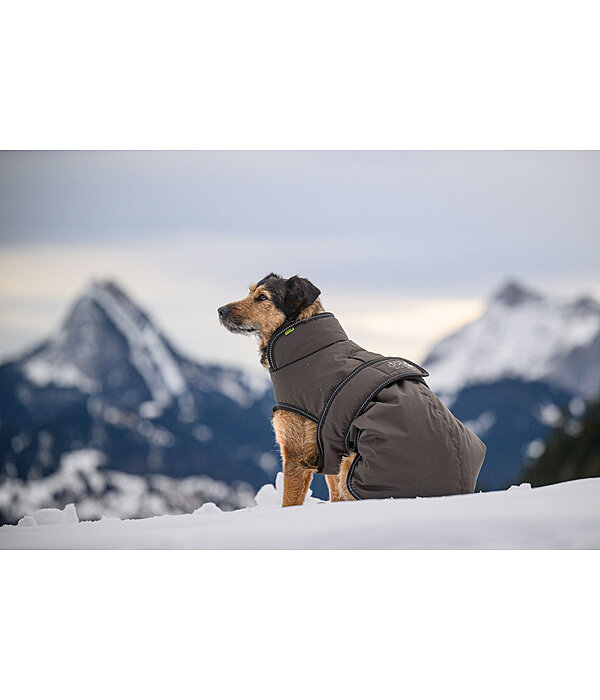 Cappotto invernale per cani Eddie con pile, 200 g