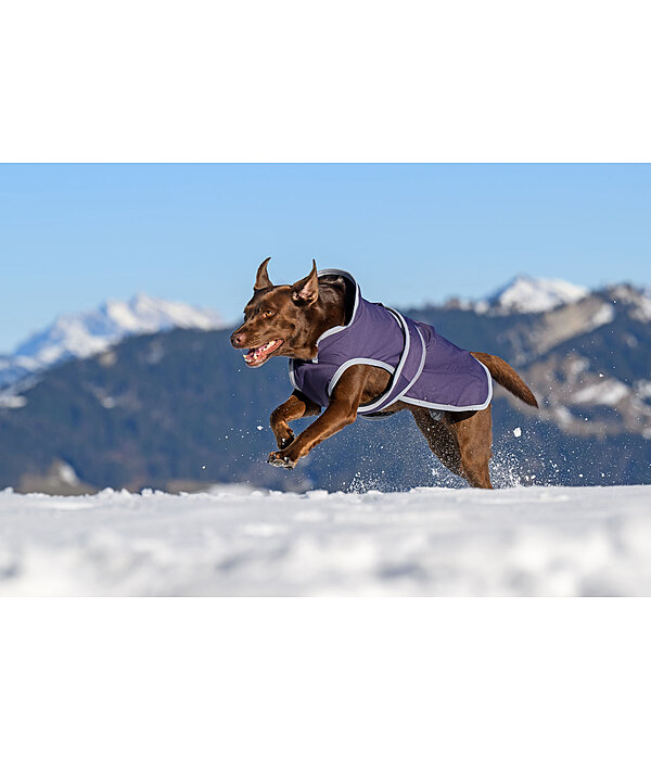 Cappotto invernale per cani con pile Eddie, 200 g