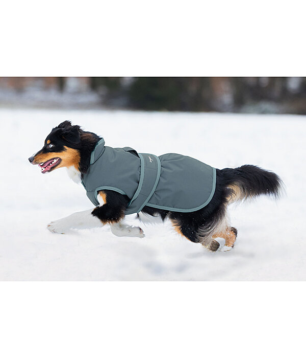 Cappotto invernale per cani con pile Eddie, 200 g