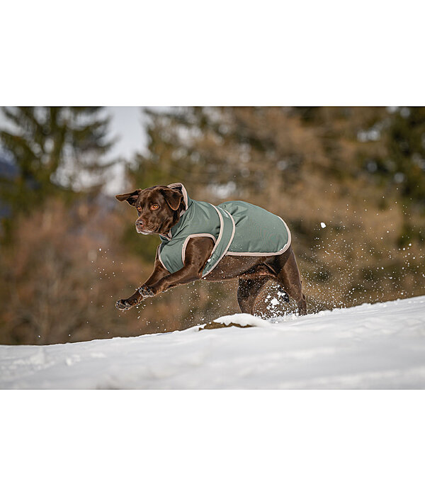 Cappotto invernale per cani con pile Eddie, 200 g