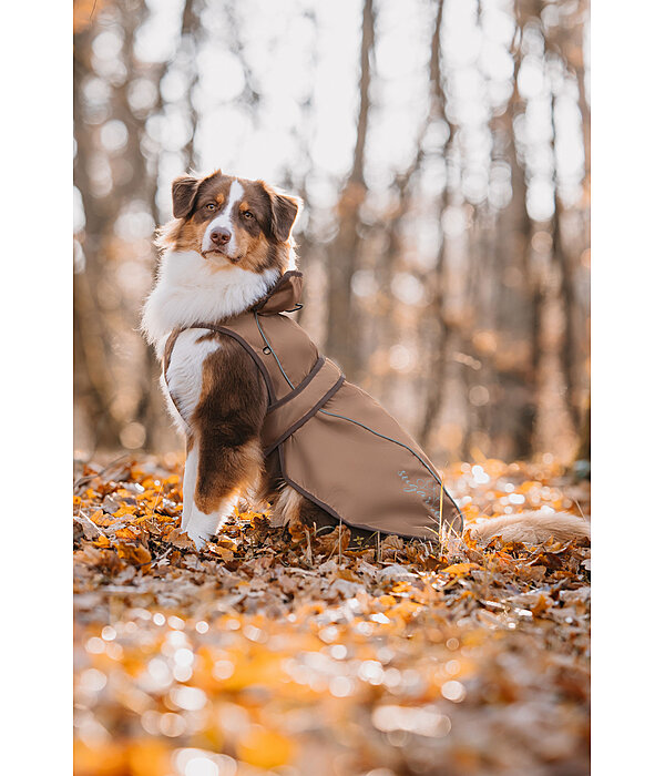 Cappotto per cani in nylon 2 in 1 Ally