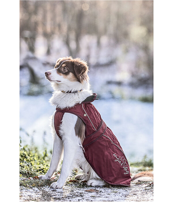 Cappotto per cani in nylon 2 in 1 Ally