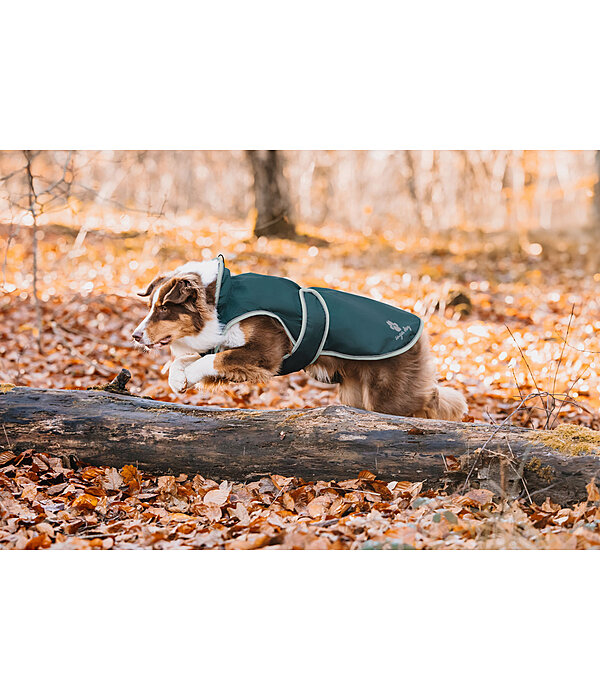 Impermeabile per cani con pile Eldoro II, 0 g