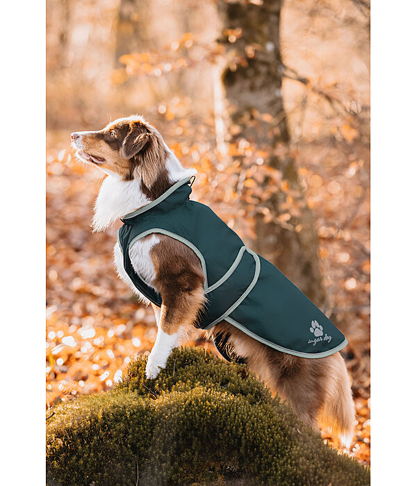 Impermeabile per cani con pile Eldoro II, 0 g