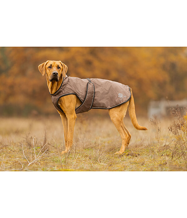 Impermeabile per cani con pile Eldoro II, 0 g