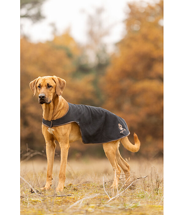 Impermeabile per cani con pile Eldoro II, 0 g