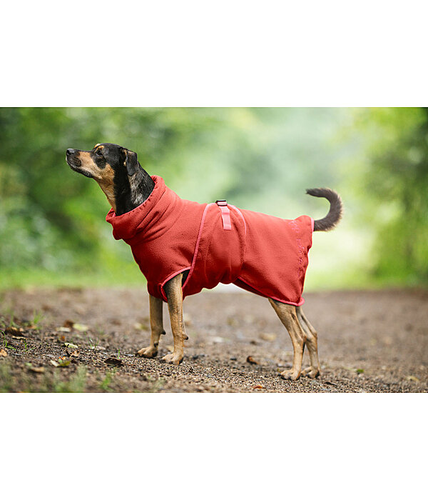 Accappatoio per cani Dry Dog II