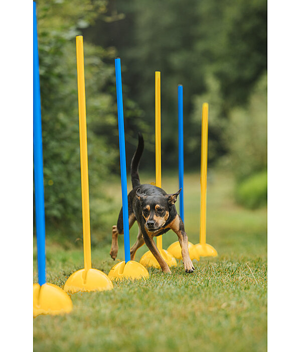 Bastoni agility