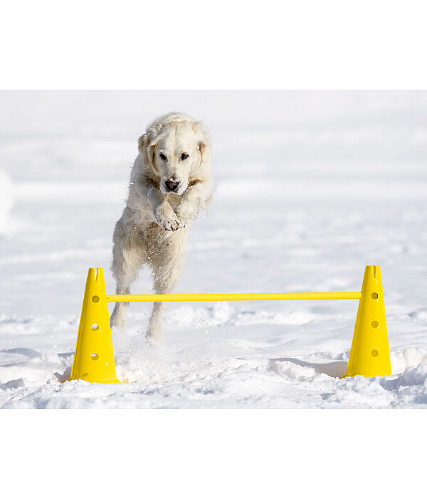 Bastoni agility