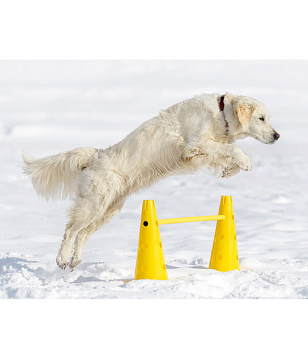 Coni agility