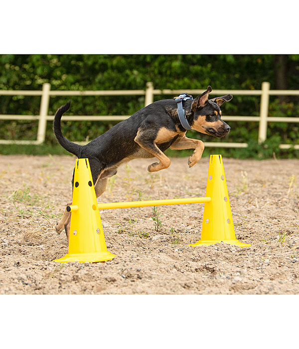 Coni agility