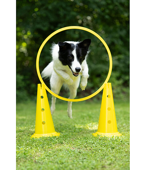 Coni agility