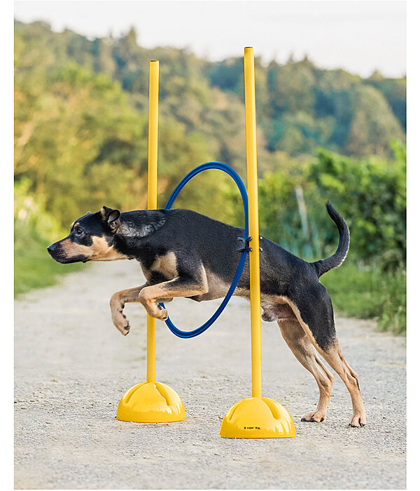 Cerchio agility