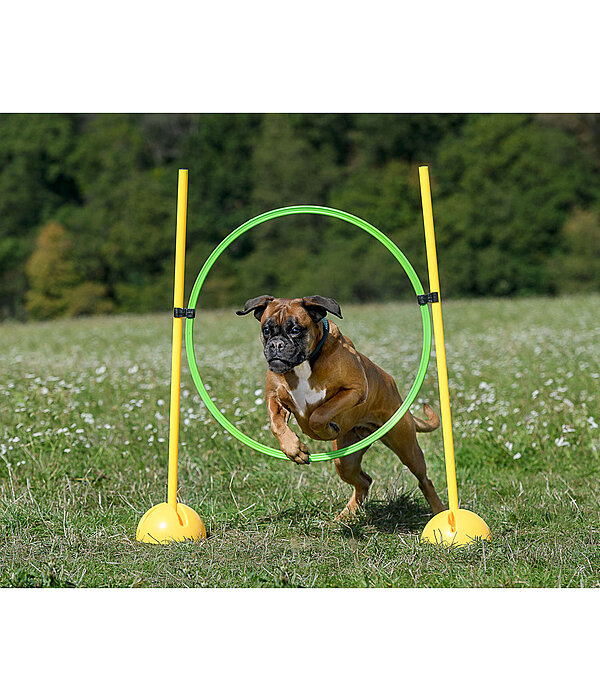 Cerchio agility