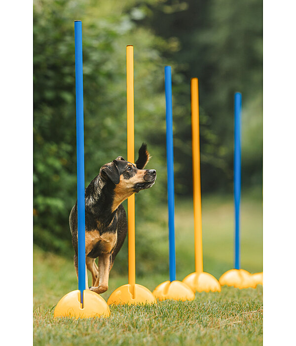 Sostegni agility