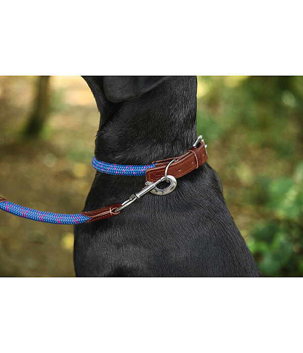 Collare Coloured Rope
