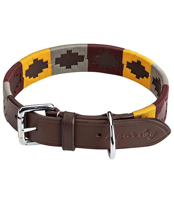 LV~DOG COLLAR  Collari per cani, Cani, Collari