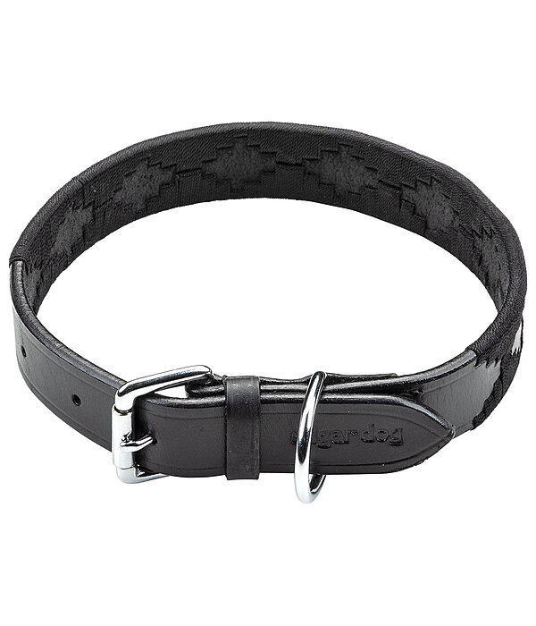 Set collare e guinzaglio in cuoio Polo Sports