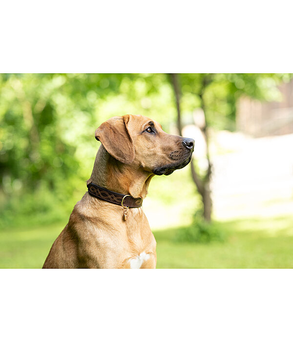 Collare in cuoio Livorno