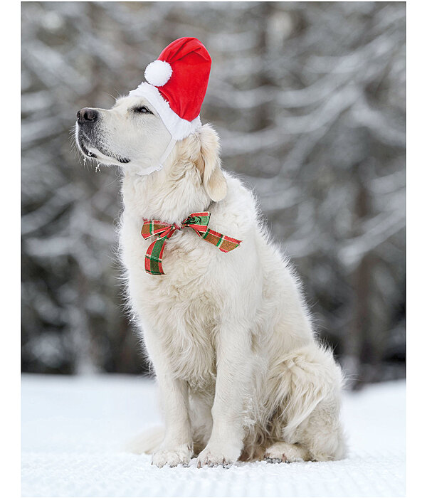 Berretto natalizio Santa per cani