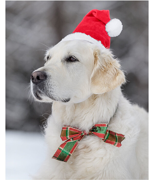 Berretto natalizio Santa per cani
