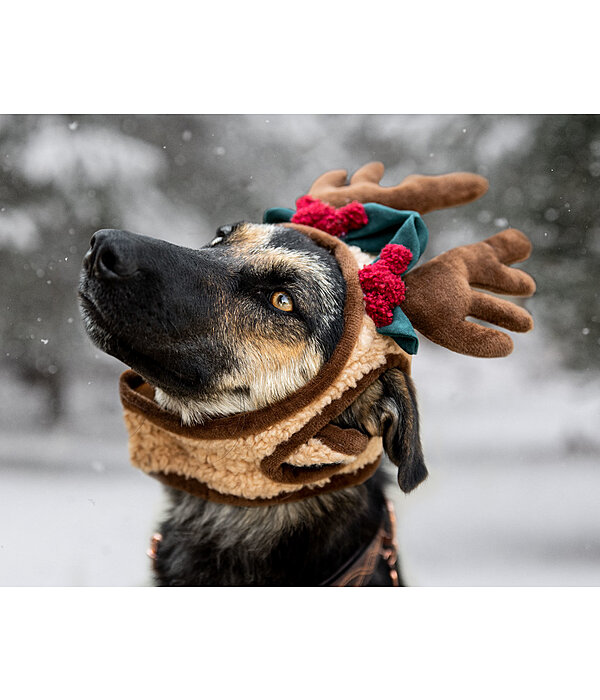 Copricapo natalizio Rudolph per cani