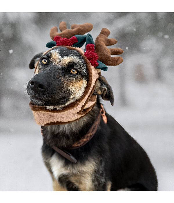 Copricapo natalizio Rudolph per cani