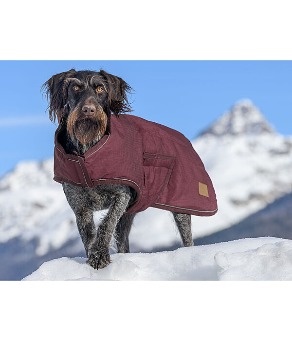 Cappotto invernale per cani Beaver Creek, 400 gr
