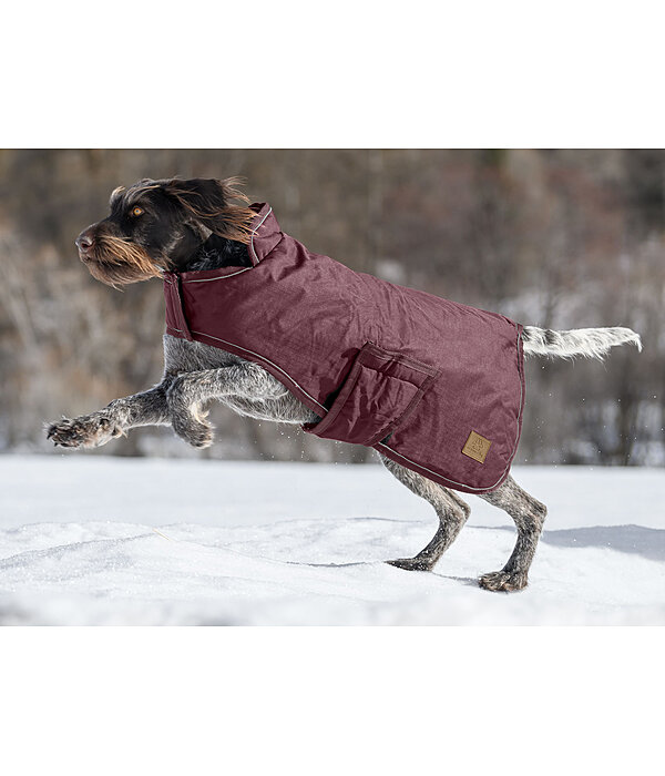 Cappotto invernale per cani Beaver Creek, 400 gr