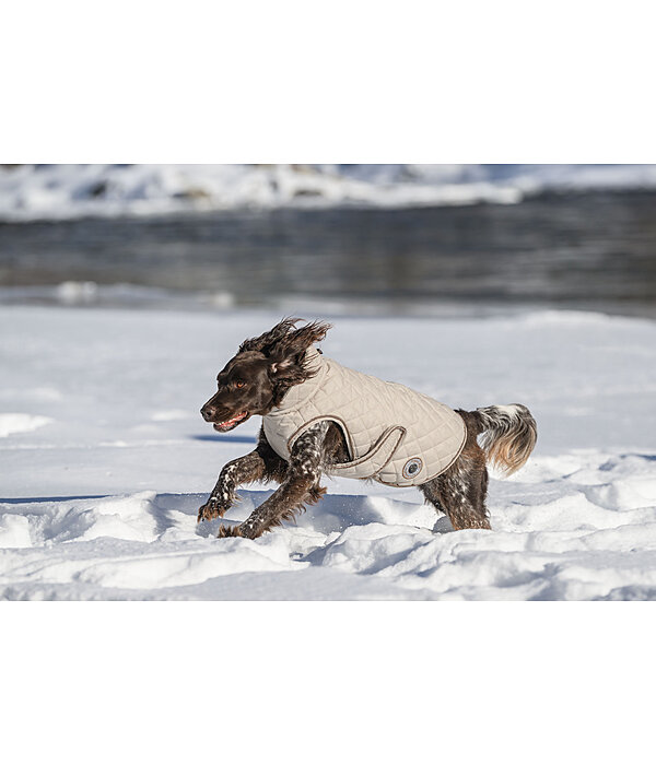 Cappotto per cani Archie con pelliccia, 160 g