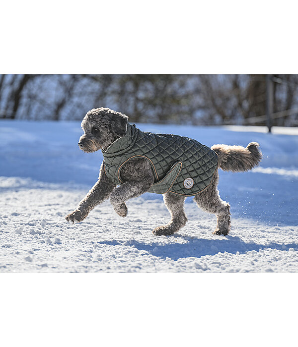 Cappotto per cani Archie con pelliccia sintetica, 160 g