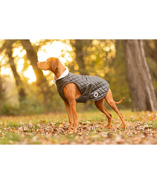 Cappotto per cani Archie con pelliccia sintetica, 160 g