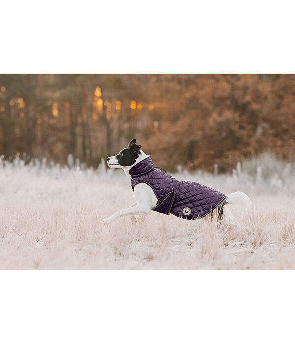 Cappotto per cani Archie con pelliccia, 160 g