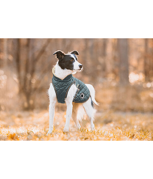 Cappotto per cani Archie con pelliccia, 160 g