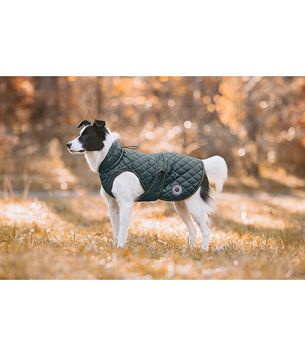 Cappotto per cani Archie con pelliccia, 160 g