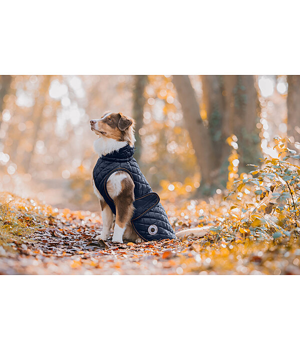 Cappotto per cani Archie con pelliccia, 160 g