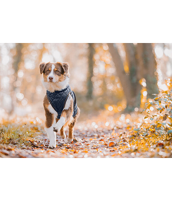 Cappotto per cani Archie con pelliccia, 160 g