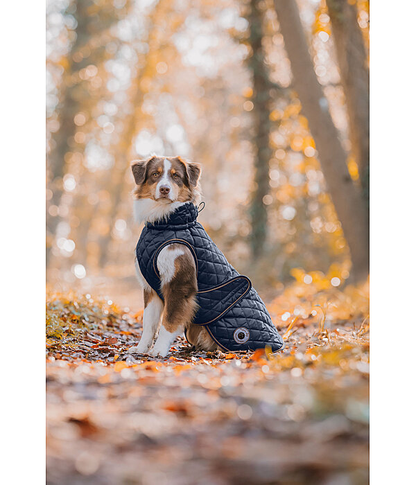 Cappotto per cani Archie con pelliccia, 160 g
