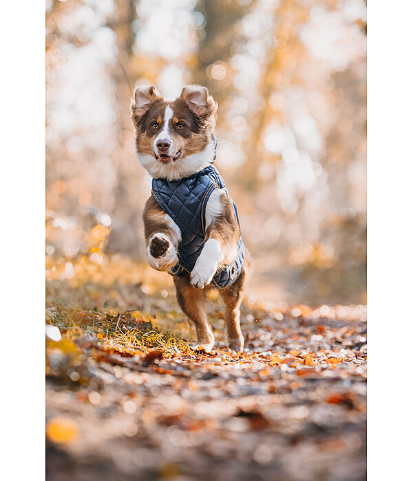 Cappotto per cani Archie con pelliccia, 160 g