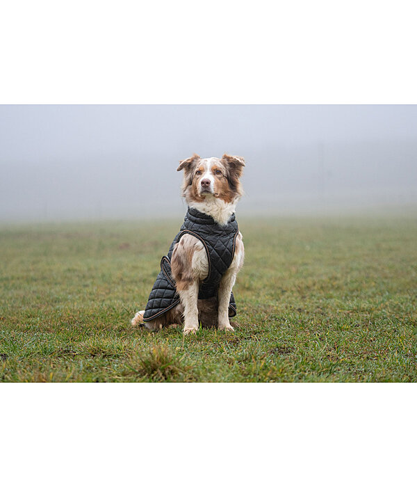 Cappotto per cani Archie con pelliccia sintetica, 160 g
