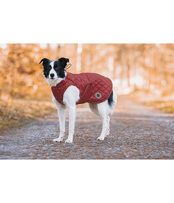 Cappotto per cani Archie con pelliccia, 160 g