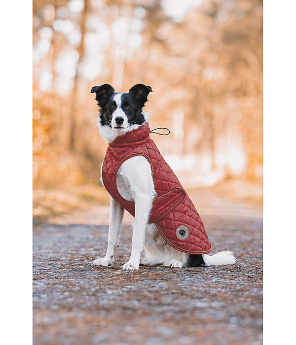 Cappotto per cani Archie con pelliccia, 160 g