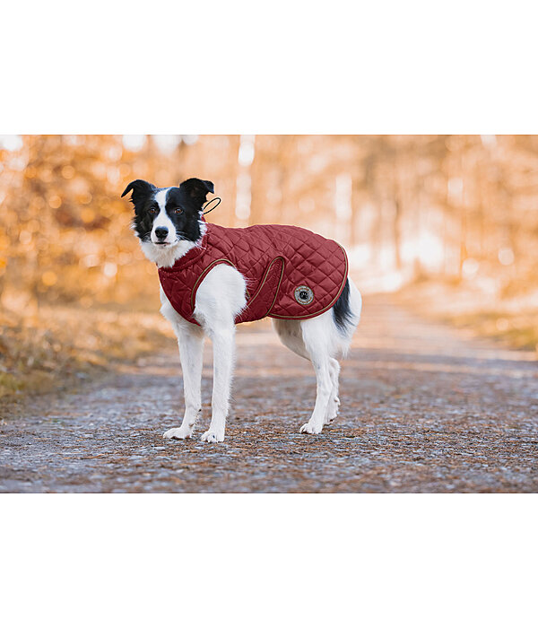 Cappotto per cani Archie con pelliccia sintetica, 160 g